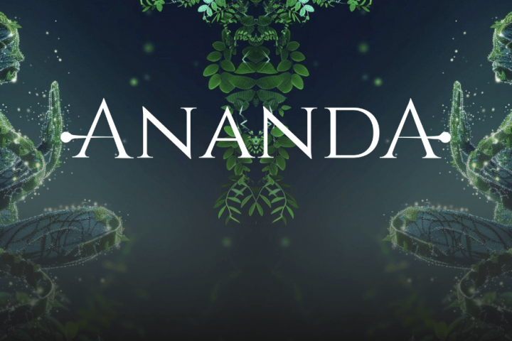 Фирменный стиль для французского бренда ANANDA