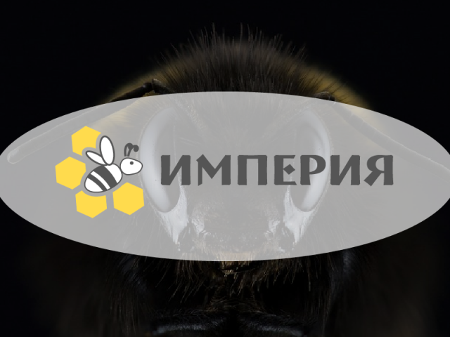 Империя