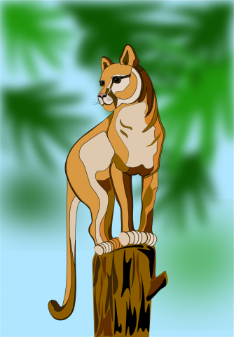 animal