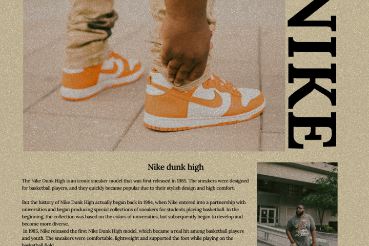 Баннер nike dunk high