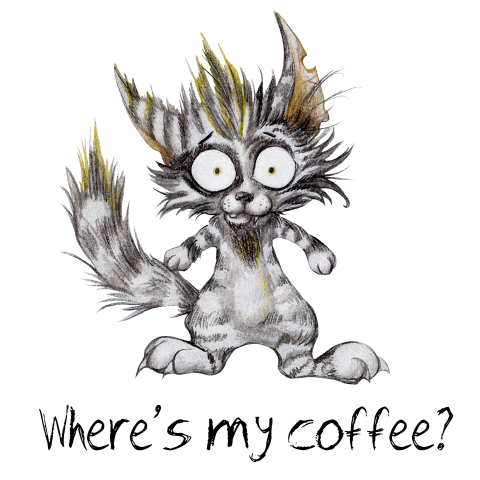 Утренний котик