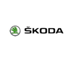 SEO-продвижение сайта официального дилера SKODA в Красноярске
