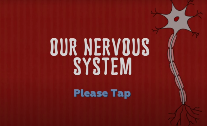 Nervous System