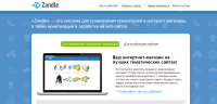Ускоритель онлайн продаж Zandle