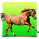 Частная конюшня «Авиньон»