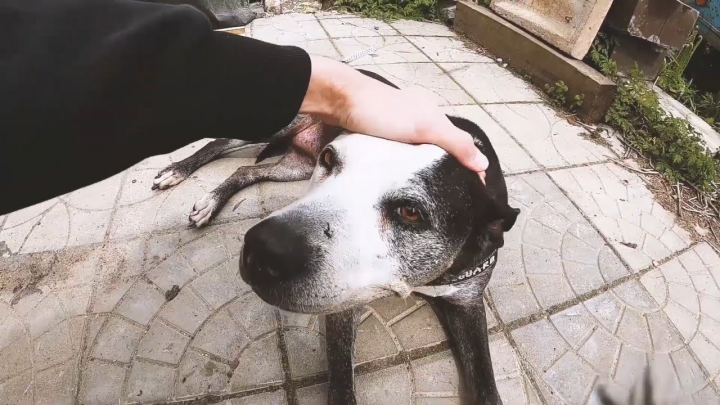 Трейлер для канала