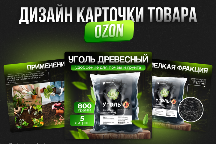 Дизайн инфографики для OZON №1