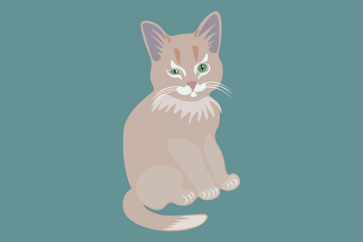 Принт-иллюстрация "Кот"