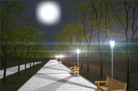 Ночная аллея