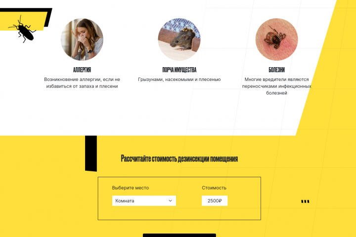 Разработка интернет магазина для Дезинсекторов