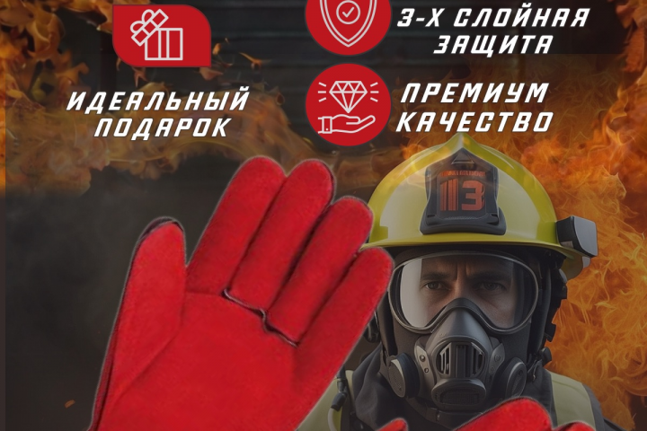 Инфографика