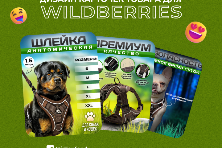 Инфографика