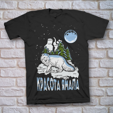 Принт из серии YAMAL