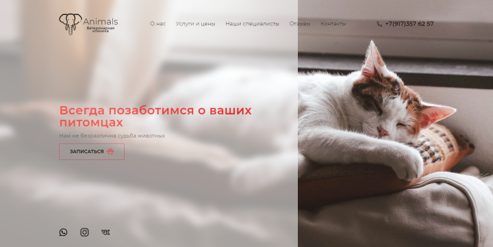 Ветеринарная клиника