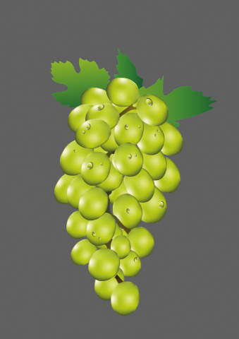 Открытка "Виноград"