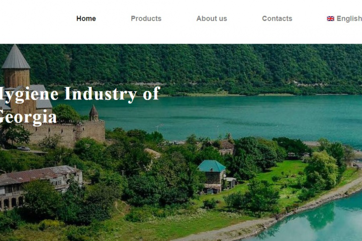 Перевод сайта Hygiene Industry of Georgia