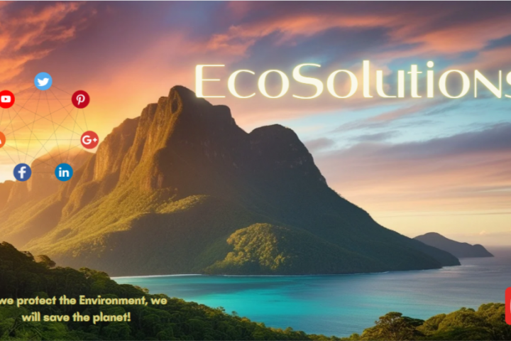 Баннер для экофирмы ECO Solution