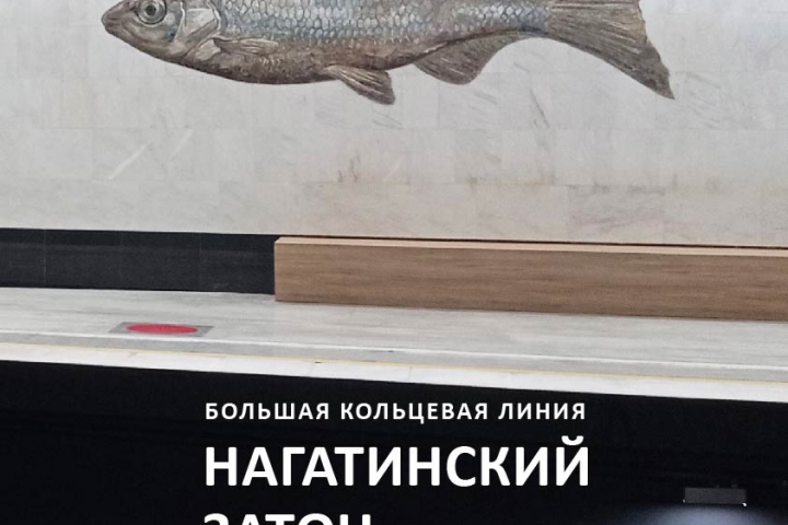 Плакат