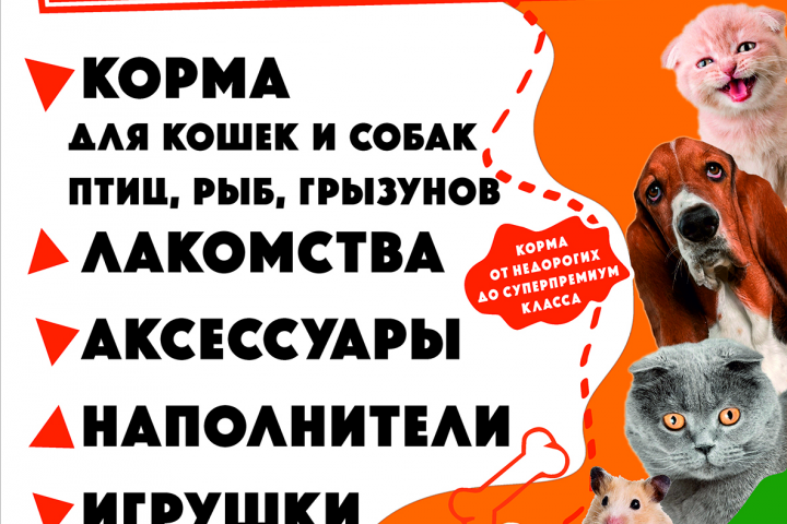 Диплом и афиша
