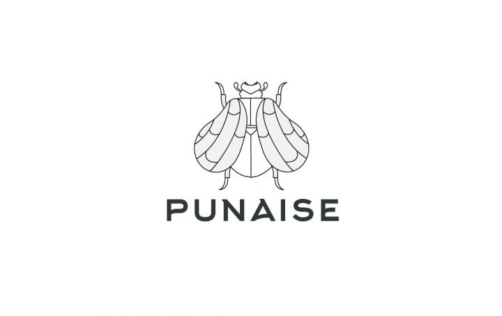Punaise