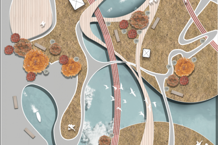 Эскизный проект парка