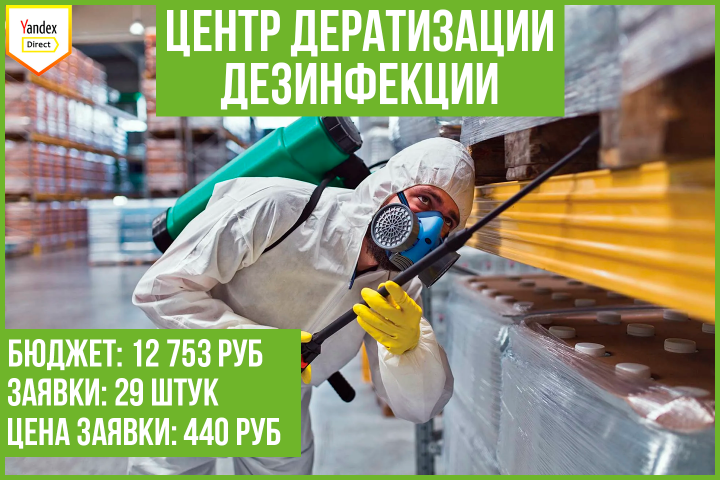 Кейс: продвижение центра дезинфекции/дезинсекции (РФ)