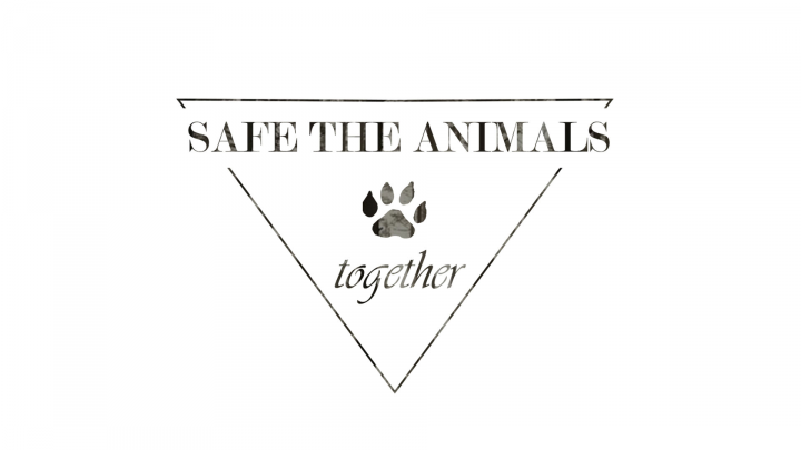 Работа 3816521