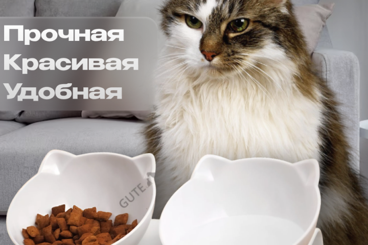 Миска