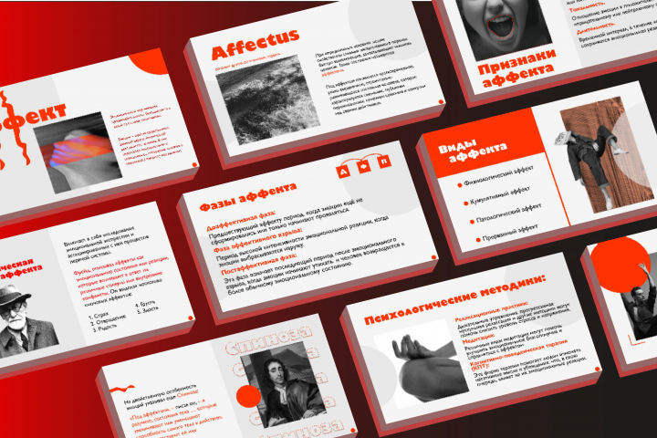 Общее портфолио