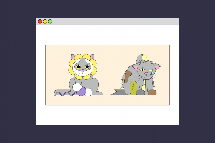 Киса-Мурыса