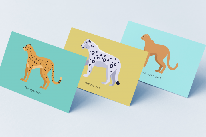 Иллюстрации по биологии