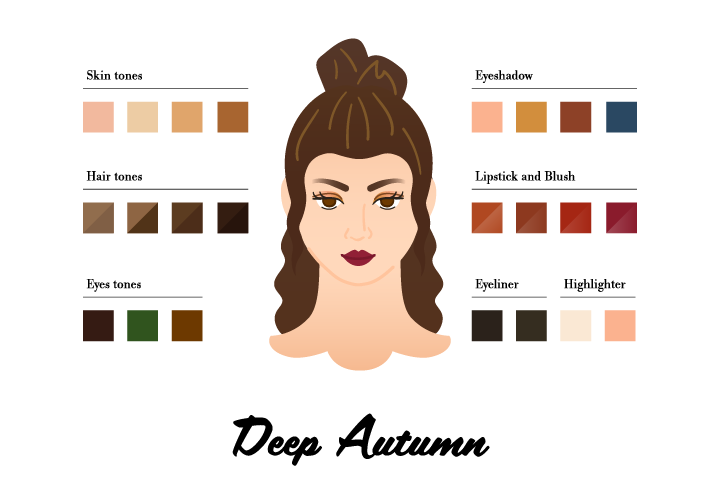 Flat инфографика о цветотипах внешности