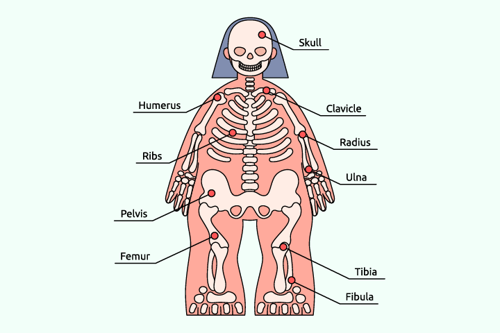 Что у меня внутри?