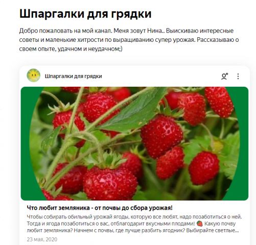 Мои статьи для Яндекс-Дзен.