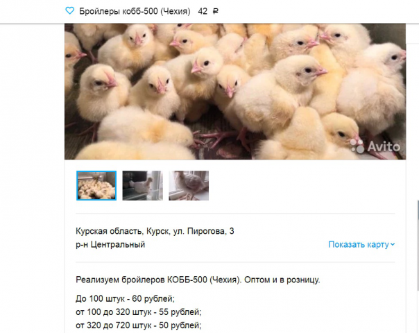 Продвижение сайтов и товаров в интернет