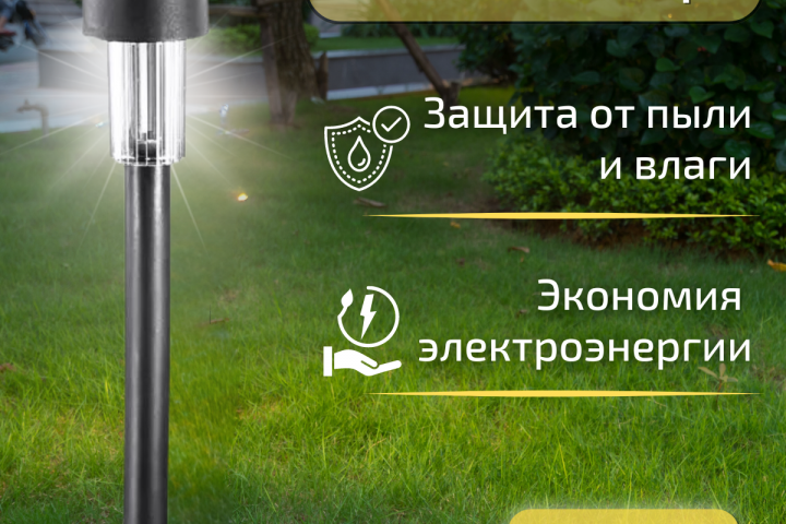 Инфографика для WB