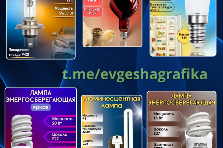 Инфографика для WB