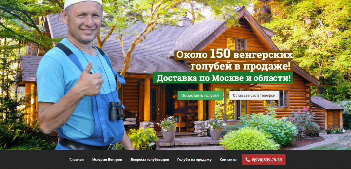 Создание лендинга (Продажа голубей)