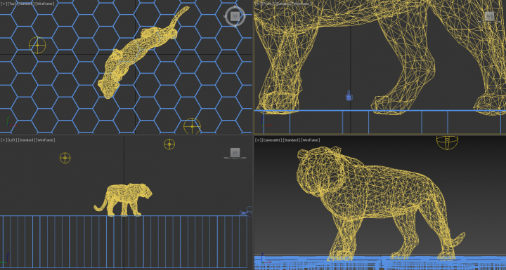 Красота в разрезе)