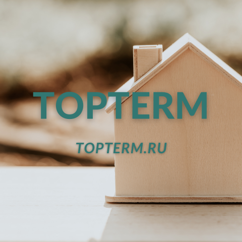 Домен для сайта производителя обогревателей topterm.ru/