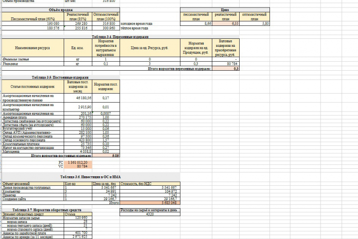Бизнес-план проекта СОЗДАНИЯ ПРЕДПРИЯТИЯ ПО ПРОИЗВОДСТВУ ТОПЛИВН