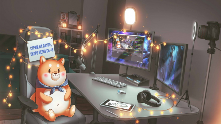 фирменный стиль для стримера