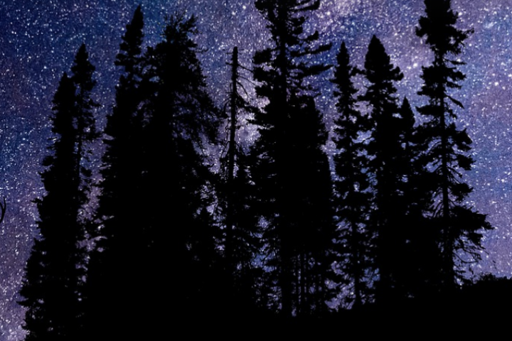 Рекламный ролик для радио