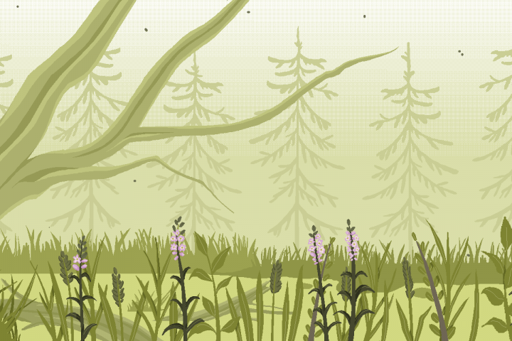 Пиксельная локация