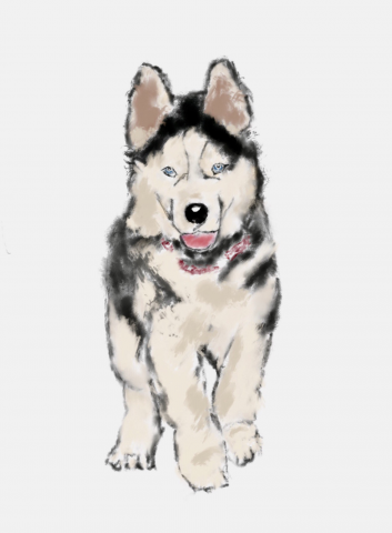 Работа 3345179