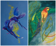 Birds