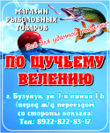 По щучьему велению