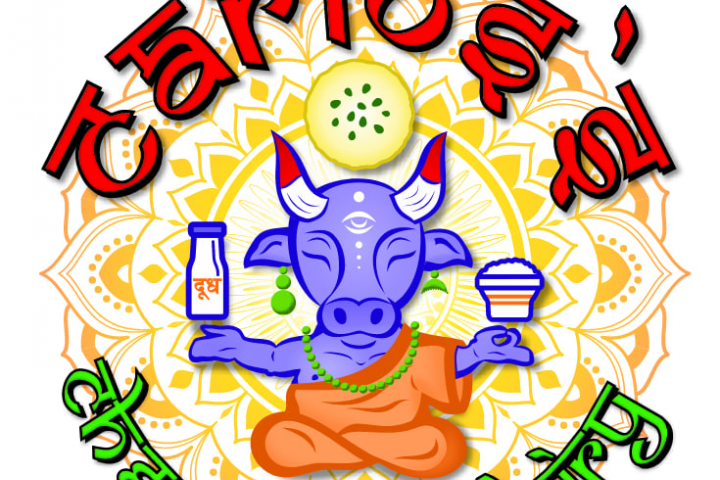 Carlos`s cheese and dairy