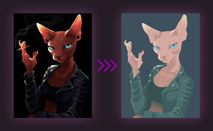 Кошка сфинкс