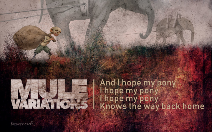 Mule variations